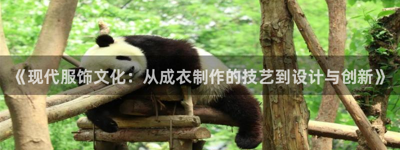 乐发平台注册流程视频