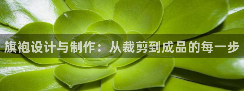 乐发体育平台官网登录