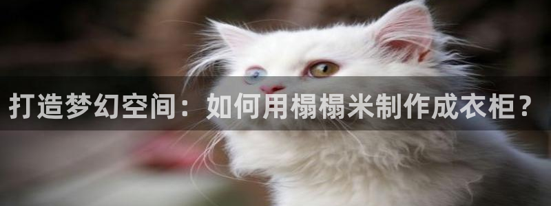 乐发彩票最新平台官网