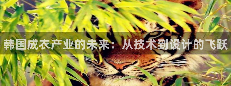 乐发3彩票平台