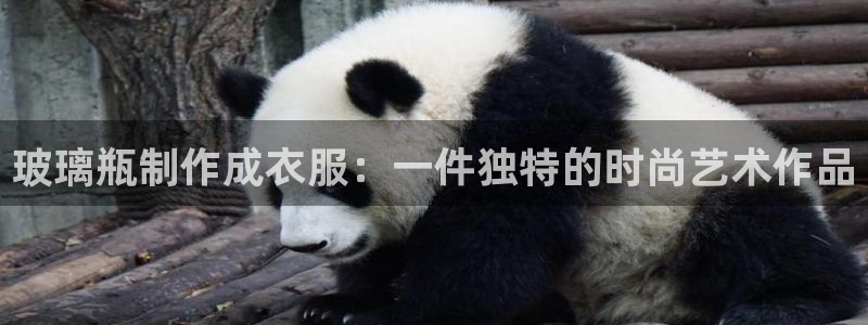 乐发彩票平台代理