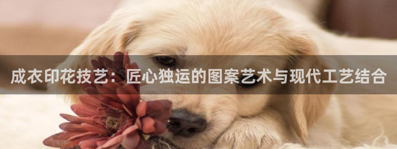 乐发旗下的平台有多少个