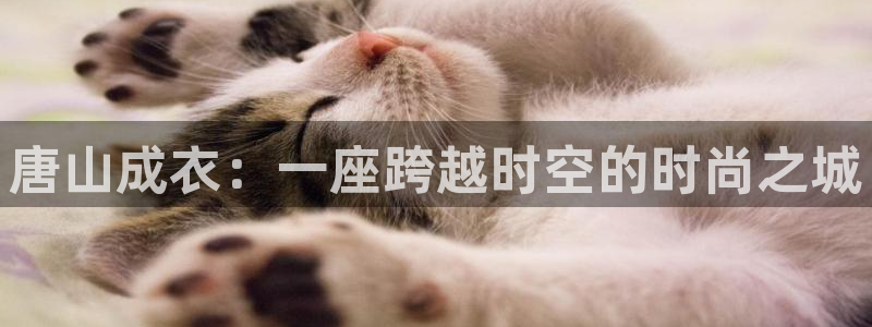 乐发所有平台