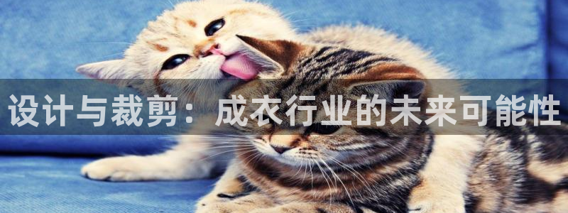 乐发邀请码平台