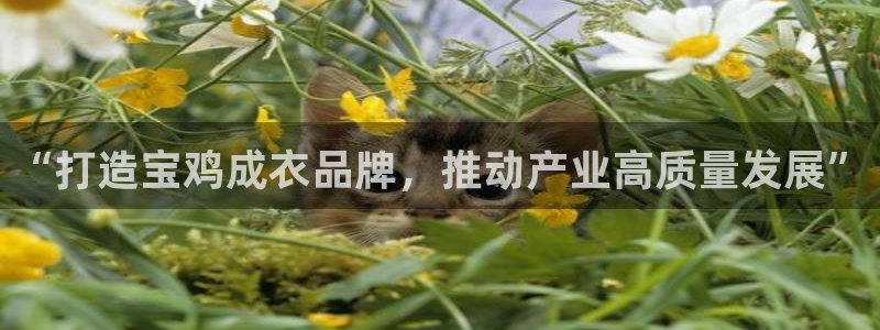 乐发彩票平台下载