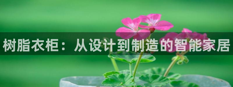 乐发国际 皇恩a平台