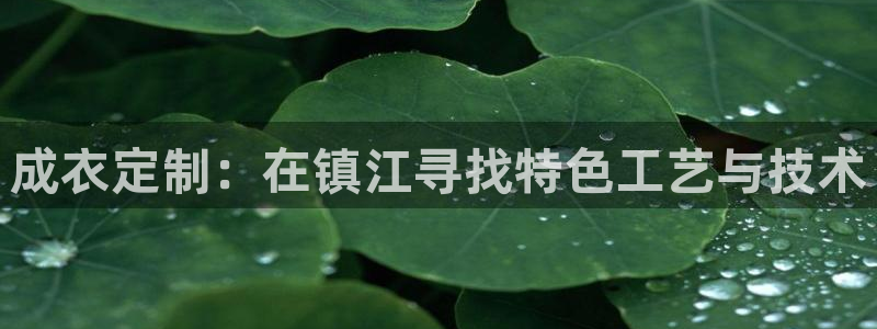 乐发VIII平台免费版