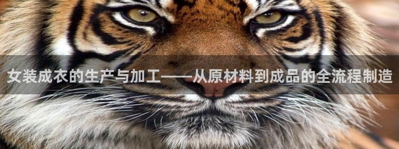 乐发v11平台怎样