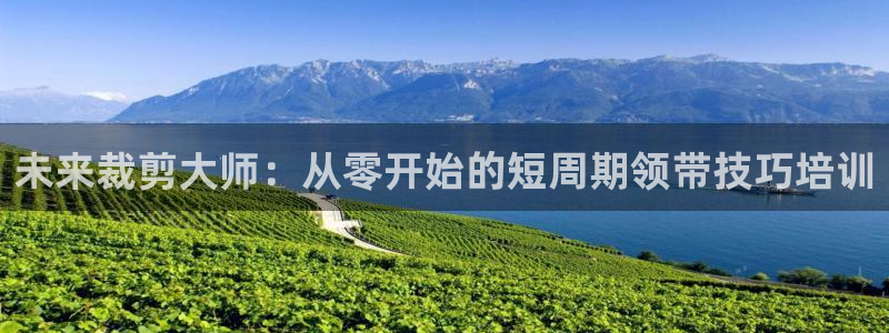 乐发彩票平台官网