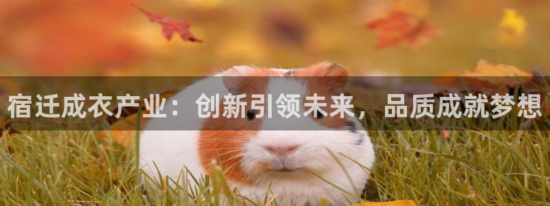 乐发旗下的平台有多少个