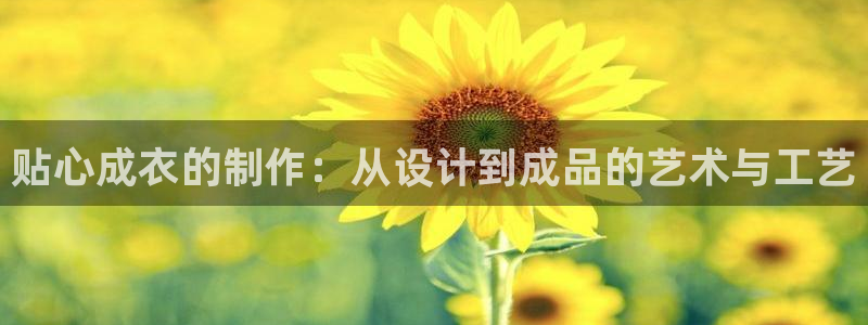 乐发传媒是正规平台吗
