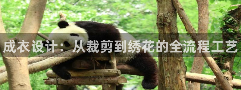 乐发平台彩票怎么兑奖