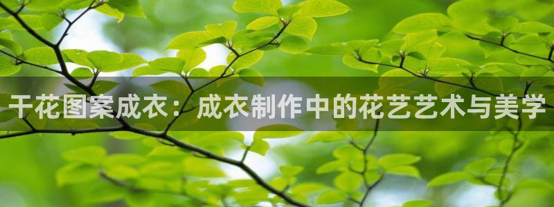 乐发平台app下载安装
