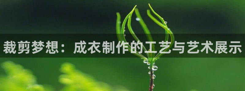 乐发彩票最新平台