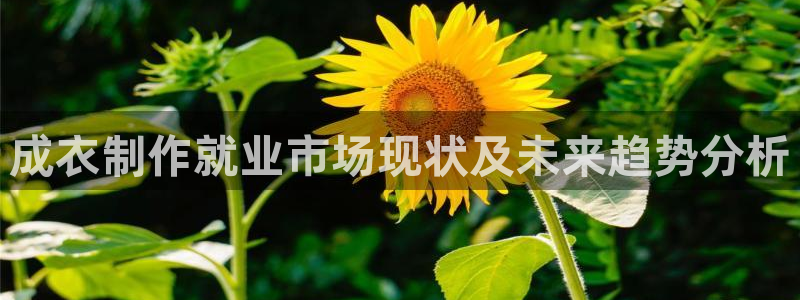 百乐发娱乐平台