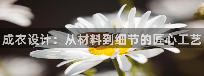 乐发彩票app平台大全