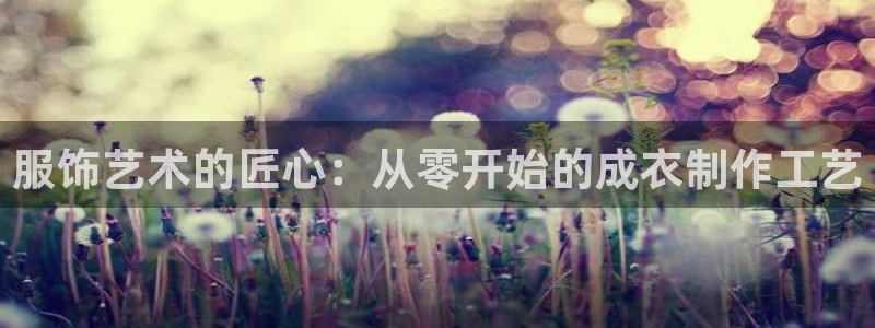 乐发IV平台注册