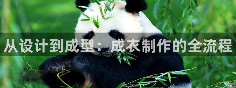 乐发彩票平台跑路了吗