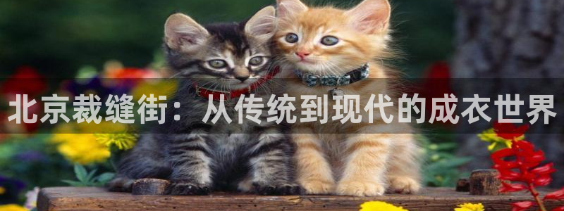 乐发平台杀猪盘